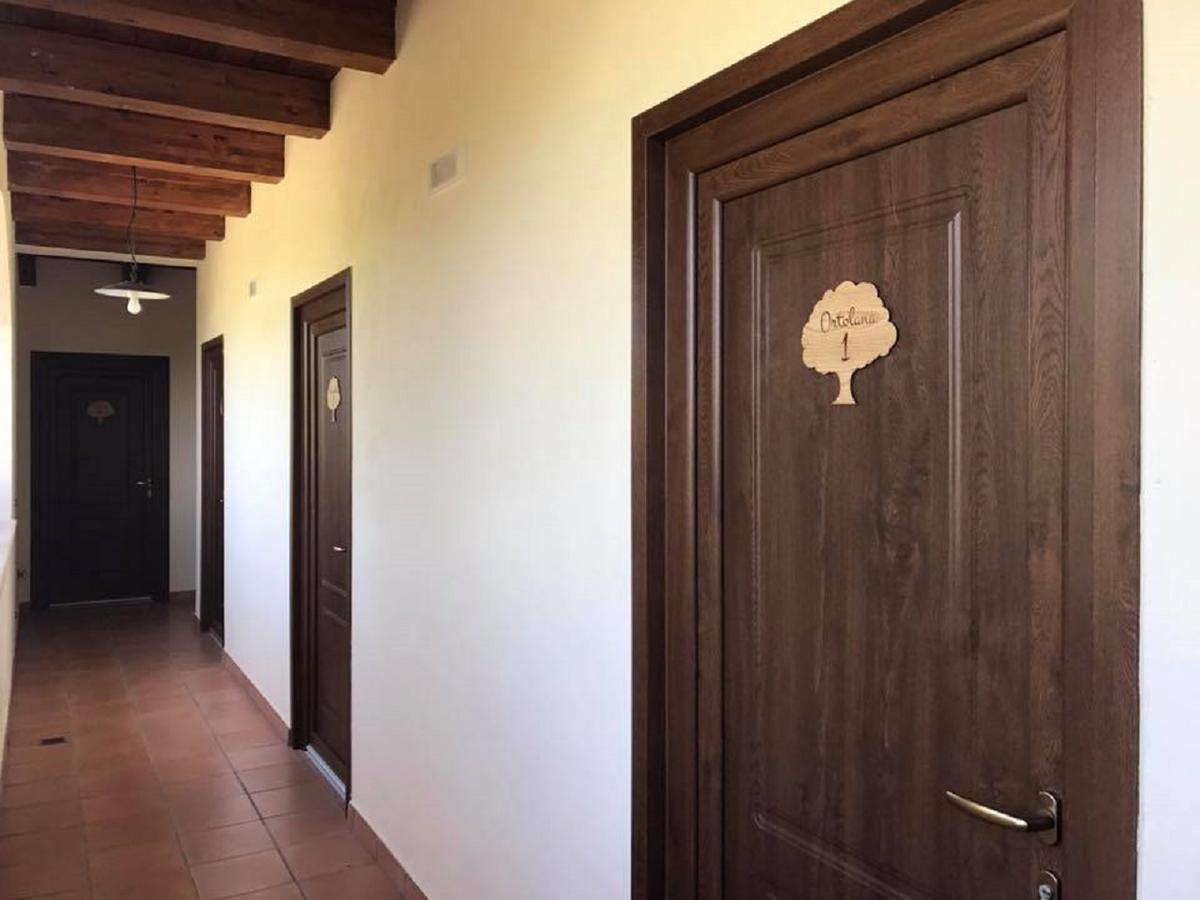 Agriturismo L'Ulivo Padula Exterior foto